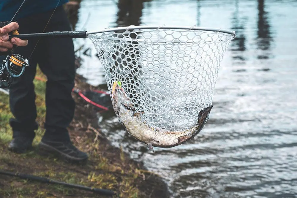 fishing trophies